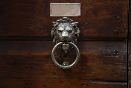 door knocker in the shape of a lion on a wooden doorの写真素材