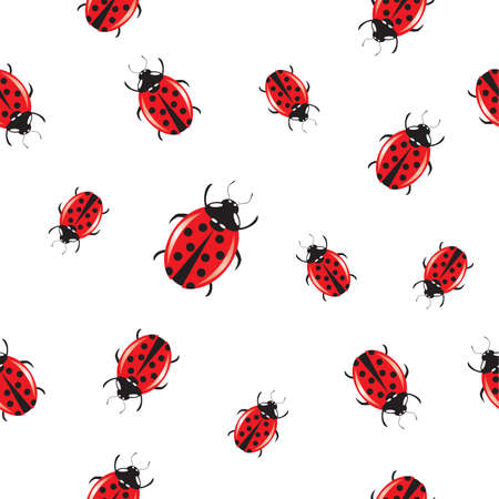 Vector seamless background with shiny semi-realistic ladybirds on white.のイラスト素材