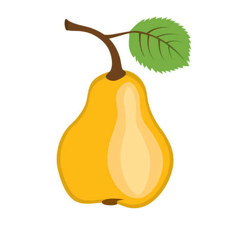 A yellow pear isolated on white background.のイラスト素材