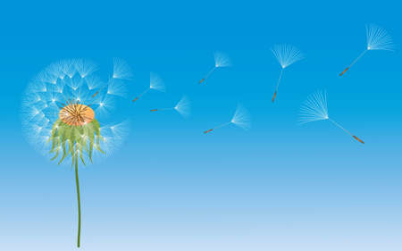 A dandelion in wind on blue background.のイラスト素材
