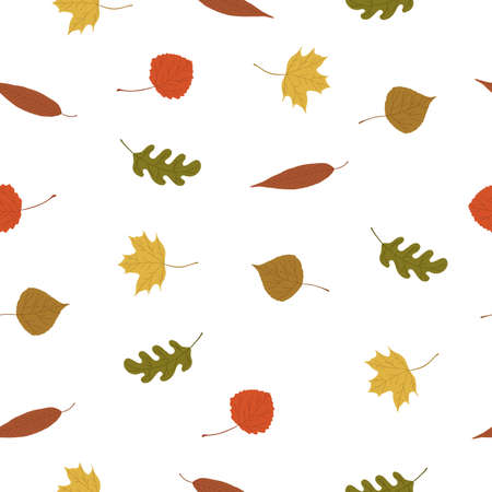 Seamless background with various autumn leaves.のイラスト素材