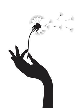 Silhouette of a female hand holding dandelion.  illustration.のイラスト素材
