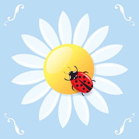 Greeting card with a ladybird on a daisy.のイラスト素材