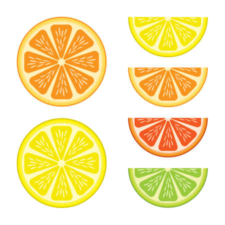 Halves and segments of citrus fruits on white background.のイラスト素材