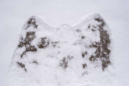 Picture of a snow angel on a rockの写真素材