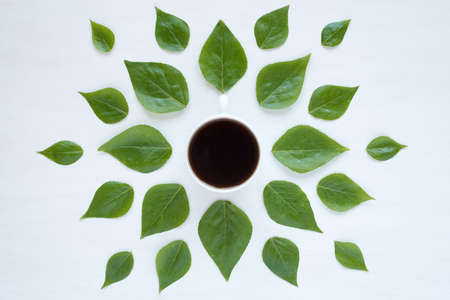 Cup of black coffee and fresh green leaves laying out in circle on white background.の写真素材