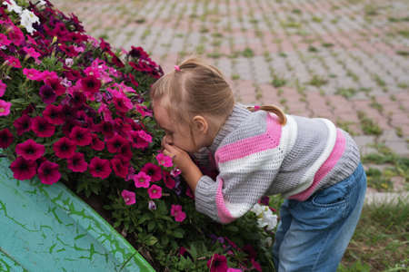 Little girl smelling flowers on a flower-bed.の写真素材