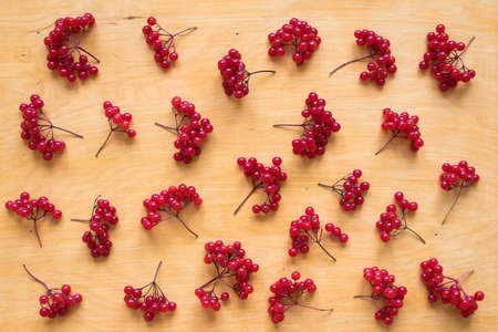 Background with red berries of viburnum on wood shot from above.