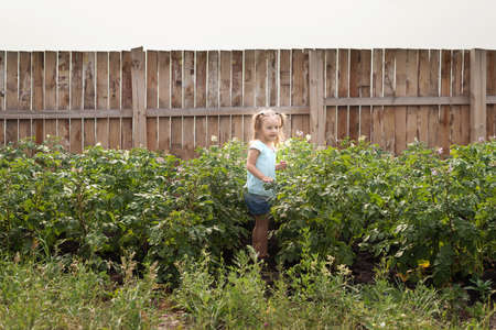 Little girl in a summer gardenの写真素材