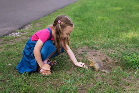 Little girl feeding a ground squirrel outdoorsの写真素材