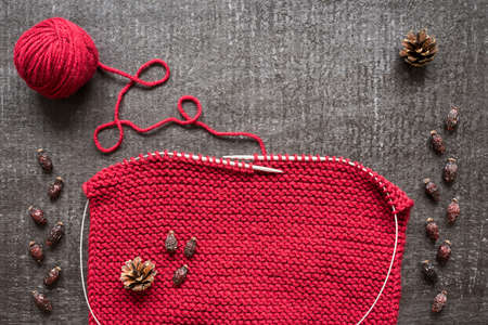 Concept of autumn: red wool knitting, cones and dryed hips on black background shot overhead.の写真素材
