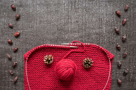Concept of autumn: red wool knitting, cones and dryed hips on black background shot overhead.の写真素材