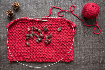 Concept of autumn: red wool knitting, cones and dryed hips on black background shot overhead.の写真素材