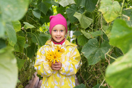 Girl with flowers in a cucumber greenhouseの写真素材