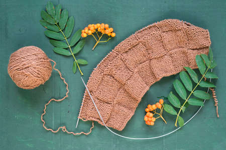 Autumnal knitting with leaves and ashberries on green background shot overhead.の写真素材