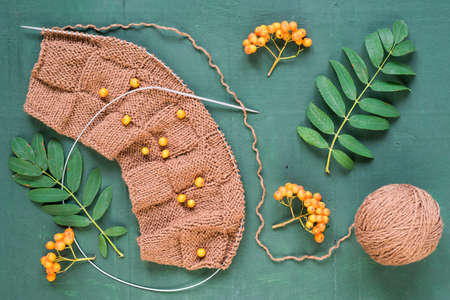 Autumnal knitting with leaves and ashberries on green background shot overhead.の写真素材