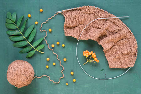 Autumnal knitting with leaves and ashberries on green background shot overhead.の写真素材