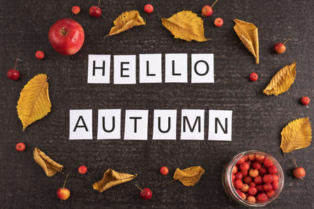 Autumn composition with leaves, apples and signの写真素材