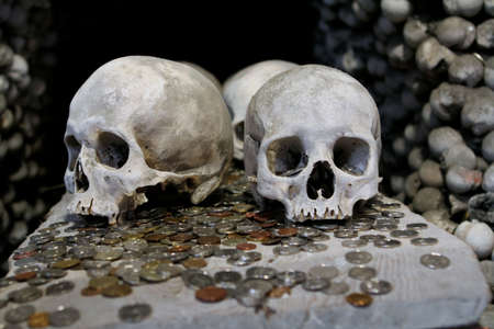 The human skulls on the coinsの写真素材