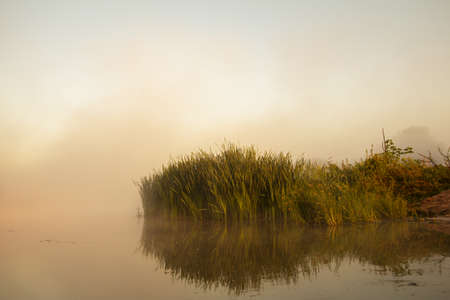 Misty morning on a small riverの写真素材