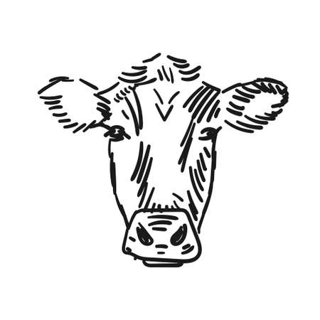 Cowのイラスト素材