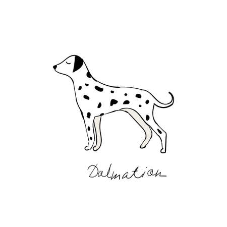 Dalmatian dog. Vector illustration. Cartoonのイラスト素材