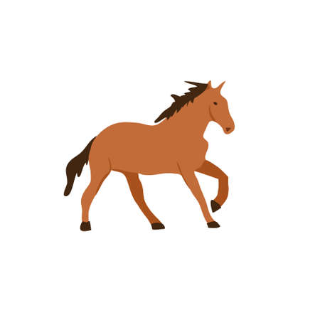 Horse flat vector illustration. Elegant brown stallion isolated on white background. Cartoon East Prussian racehorse. Graceful chestnut color mare. Beautiful hoofed mammal, stud farm animal.のイラスト素材