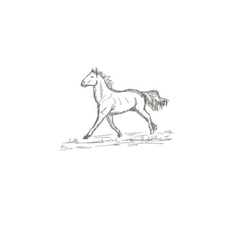 Set of hand drawn horses, vector illustration, sketchのイラスト素材