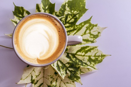Autumn leaves pattern with coffee cup. Flat lay.の写真素材