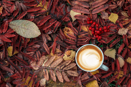 Autumn composition. Cup of coffee, dried leaves, light background. Autumn elegant concept. Flat lay, top view, copy spaceの写真素材