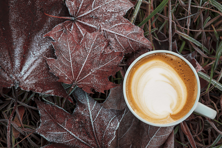 Autumn composition. Cup of coffee, dried leaves, light background. Autumn elegant concept. Flat lay, top view, copy spaceの写真素材