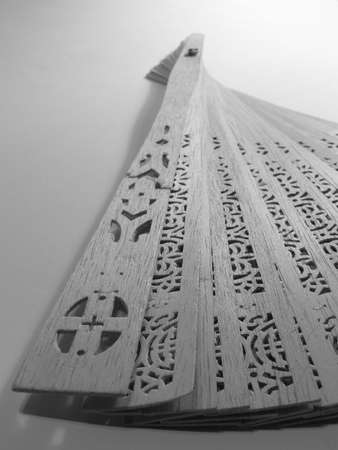 Plates of oriental featherの写真素材