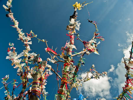 Tibetan spiritual tree with flags on blue skyの写真素材