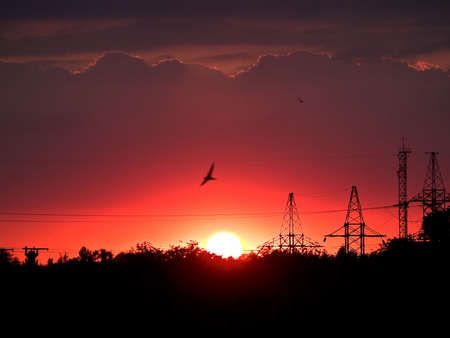 Red sunset in industrial area gantry silhouetteの写真素材