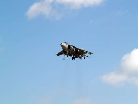 Harrier hovering high in the sky gear downの写真素材
