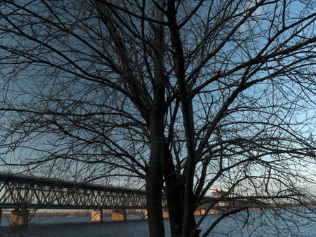 Steel railroad old bridge through tree duskの写真素材