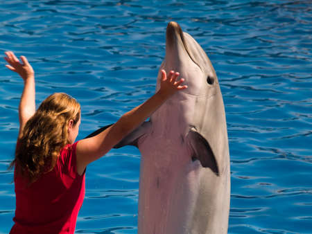 San Diego, California, october 6 2008: dolphin performance in Sea World aquatic parkのeditorial素材