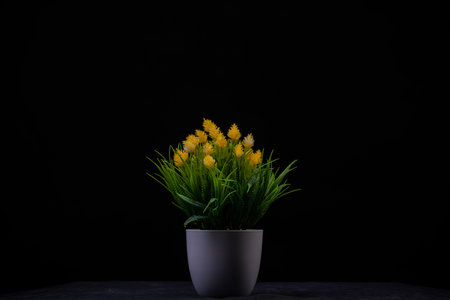 Beautiful yellow flowers in a vase on a black background.