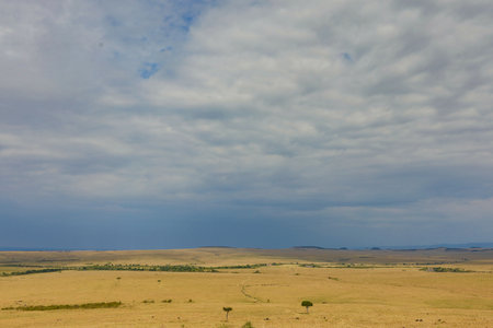 Beautiful view of the steppe under the blue sky with cloudsの写真素材