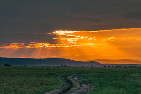 Sunset over the Okavango Delta, Botswana, Africaの写真素材