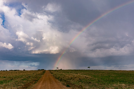 Rainbow over the road in the Masai Mara National Park, Kenyaの写真素材