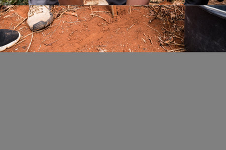 Close up of female gardener planting mulch on soil in gardenの写真素材