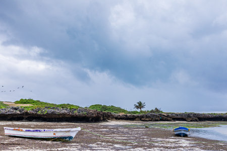 Fishing boat on the beach at low tide with a cloudy skyの写真素材