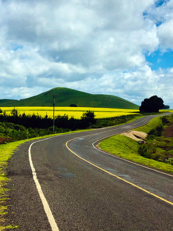 Asphalt road in the countryside of Sao Miguel Island, Azoresの写真素材