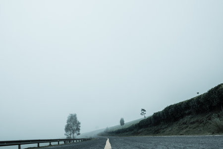 Kiambu-Limuru Road Highway, Tea Plantations