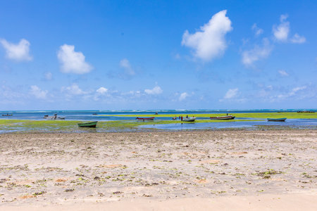 Fishing boats at low tide on the beach of Zanzibar, Tanzaniaの写真素材