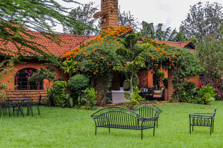 Tropical garden with palm trees, plants and benches in the foregroundの写真素材