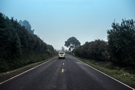 A car driving on the road in the forest. Travel concept.