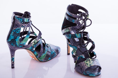 shoes. woman shoes on background. woman shoes on background.
