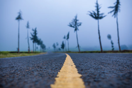 Kiambu-Limuru Road Highway, Tea Plantationsの写真素材